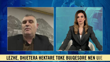 Img 1800.00 39 44 18.still017