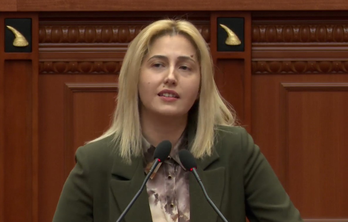 Ina Zhupa mazhorancës  Shteti shqiptar ka mbështetjen e SHBA së  por Qeveria është në listën e zezë të kufizimit të vizave