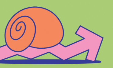 Parashikim Bota 1214 1