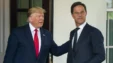 Rutte Siguron Trumpin
