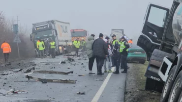 Tre Tifozë Që I Mbijetuan