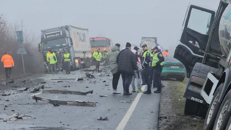 Tre Tifozë Që I Mbijetuan