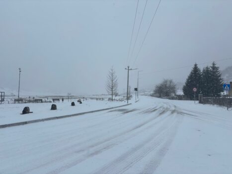 Whatsapp Image 2026 01 02 At 12.17.49