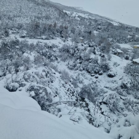 B0dec04d 8f70 41bc B626 221f4b2a977b