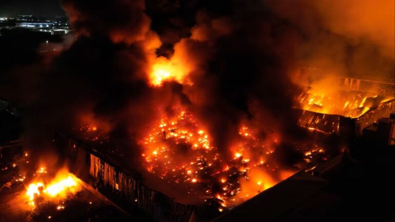 Mixcollage 24 Jan 2026 01 46 Am 9537