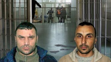 Shillazi Dani 770x433