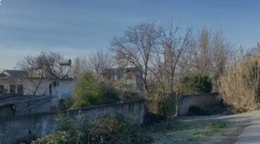 Vrasja Ne Mamurras 1