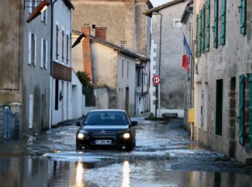 355592 France Storm F