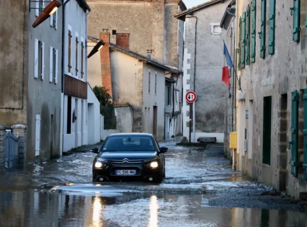 355592 France Storm F