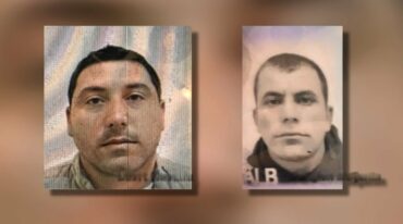 900 0 1770106933xwmremove Transformed 798