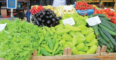 Treg Fruta Perime Bujqesi 2 1220 1024x538