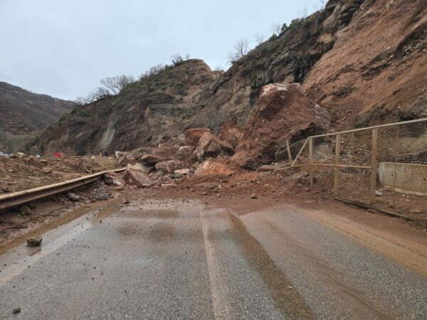 Whatsapp Image 2026 02 01 At 11.35.14