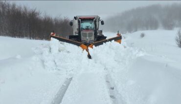 Whatsapp Image 2026 02 05 At 12.59.50