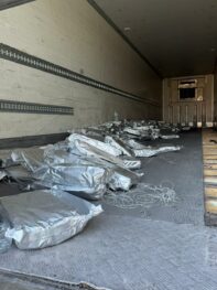 E3cecd85 7eaf 48e3 Bc75 13790bd0ab28