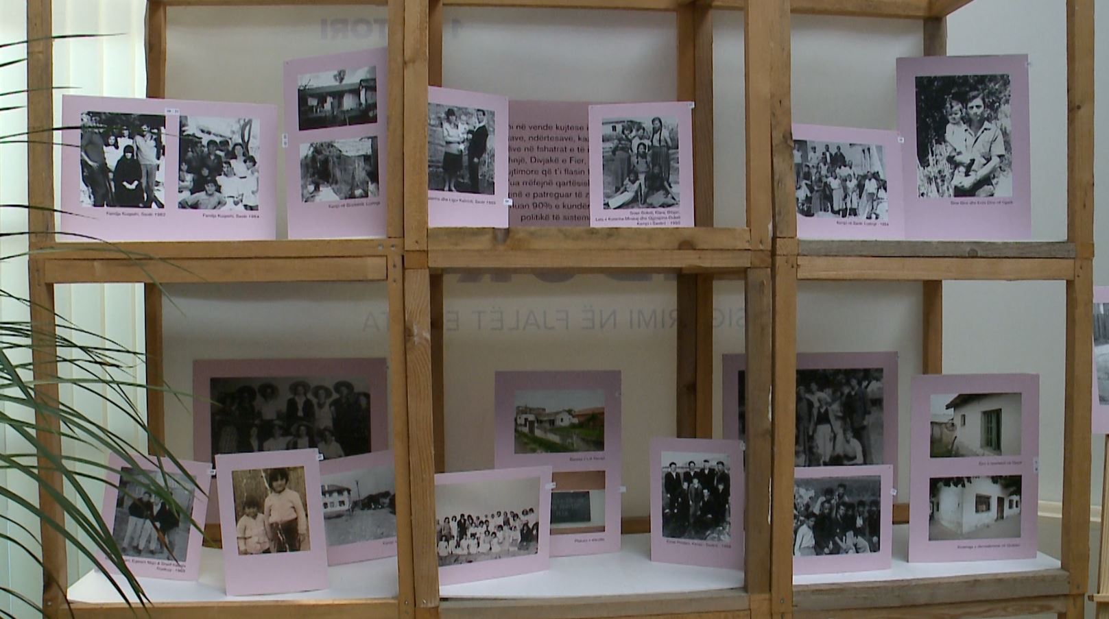 Ceremonia në Autoritetin e Dosjeve  Piktori dhe ish i përndjekuri Lekë Tasi merr titull për rezistencë e dinjitet njerëzor