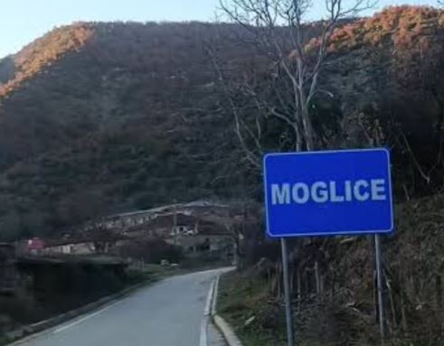 Moglice