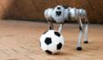 Robot Dogs Help Mexican Police 2026 World Cup 1770700311 4166