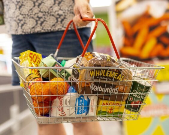 Shporta Ushqimore 1024x819