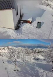 1895a708 1608 461f 987b Fa28cc1286fb