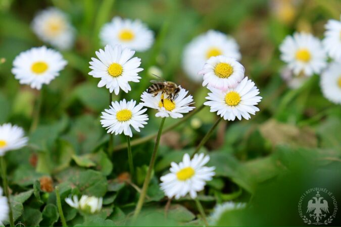 651823796 902163385922766 5828437642507489649 N