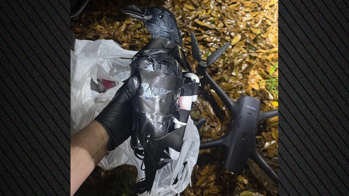 Dron i krijuar që të duket si sorrë për të kontrabanduar drogë në burgun e Teksasit