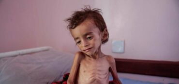 Një E Treta E Ushqimit