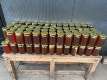 Whatsapp Image 2026 03 01 At 09.28.22