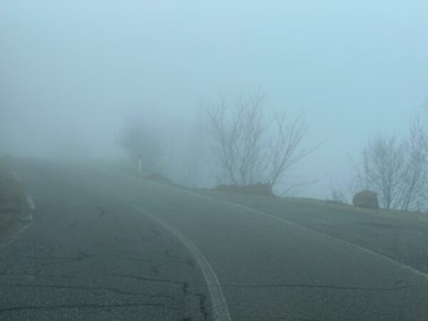 Whatsapp Image 2026 03 12 At 08.22.47