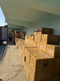 Whatsapp Image 2026 03 13 At 08.12.16