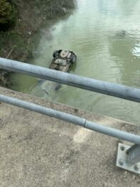 A295daca 558d 456a 9c90 D50d740caf00