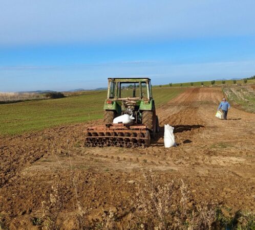 Bujqesi Fermer Fshati Belsh 1024x926