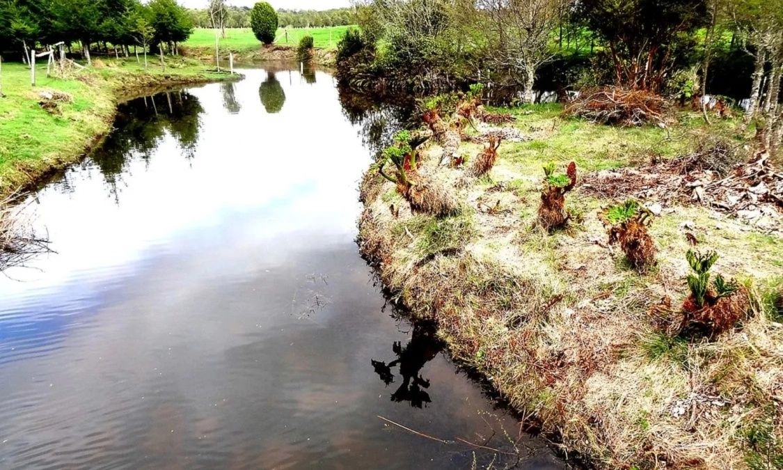 Një kthesë në historinë e Amerikës  Studimi trondit arkeologjinë  Monte Verde mund të jetë mijëra vite më i ri se sa mendohej