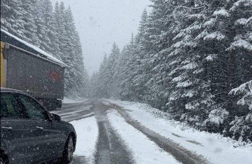 Rikthehet bora në juglindje/ Reshjet përfshijnë Pogradecin, zbardhet edhe Dardha, Voskopoja e Boboshtica (VIDEO)