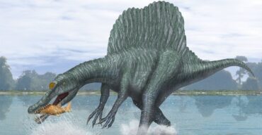 Spinosaurus