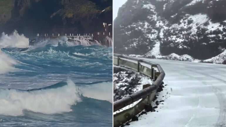 Xrwma Therese Tenerife