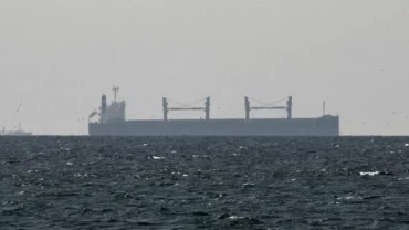 03768c22 1e3b 4072 9042 3b4a3b69f72d.jpg