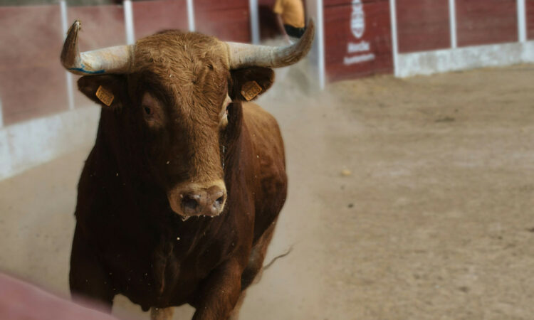 4fa6ddf7 Manuel Lopez Bh5lqhgec Unsplash