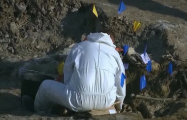 637fa3a1 Ea14 47a4 8946 8c782316964e