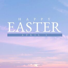 667597233 1400608812094272 5579790198516349020 N