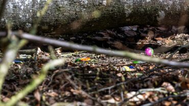 85355eccbdcfe5d02f0c68688c11a9b1,4c664b80