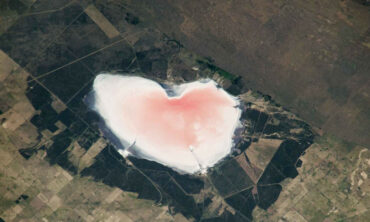 8e1c1663 Salinas Las Barrancas Pink Heart Lake Argentina Nasa (1)
