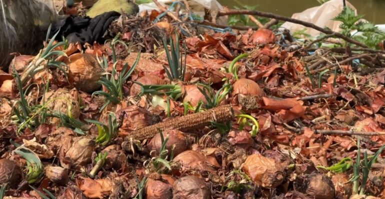 Hedhen Qepet Ne Kanal