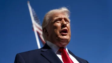 Trump Pretendon