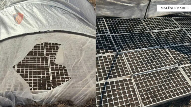 Whatsapp Image 2026 04 10 At 10.15.13