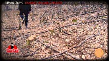 Whatsapp Image 2026 04 29 At 20.48.45