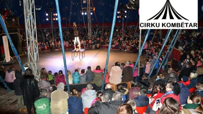 Vajza 12-vjeçare plagoset gjatë shfaqjes së cirkut – Çfarë ndodhi në minutën kritike?
