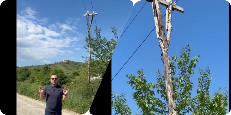 Tela të zhveshur në shtylla elektrike prej druri në zonën e Darsisë  Saimir Korreshi publikon videon  Pamjet flasin vetë 