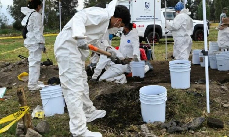 E2e2638f 1776534701894 762093784 Clipboard04 18 202601