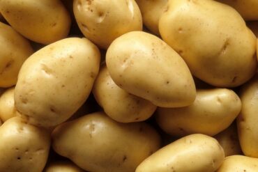 Patate