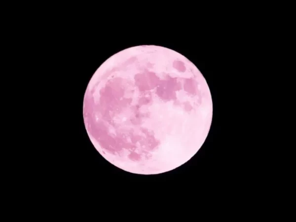 Pink Supermoon April1 1366x768 1 696x522
